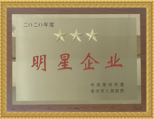 2020明星企業(yè)